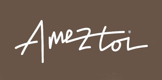 020_Logo_Ameztoi_Final.jpg